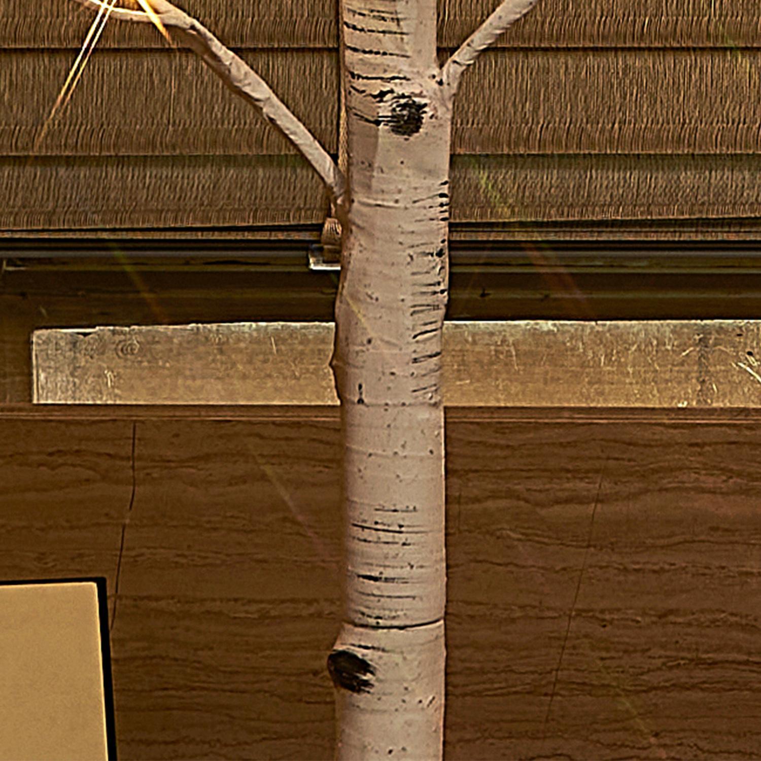 Nordic Birch Tree Decorative Lighting