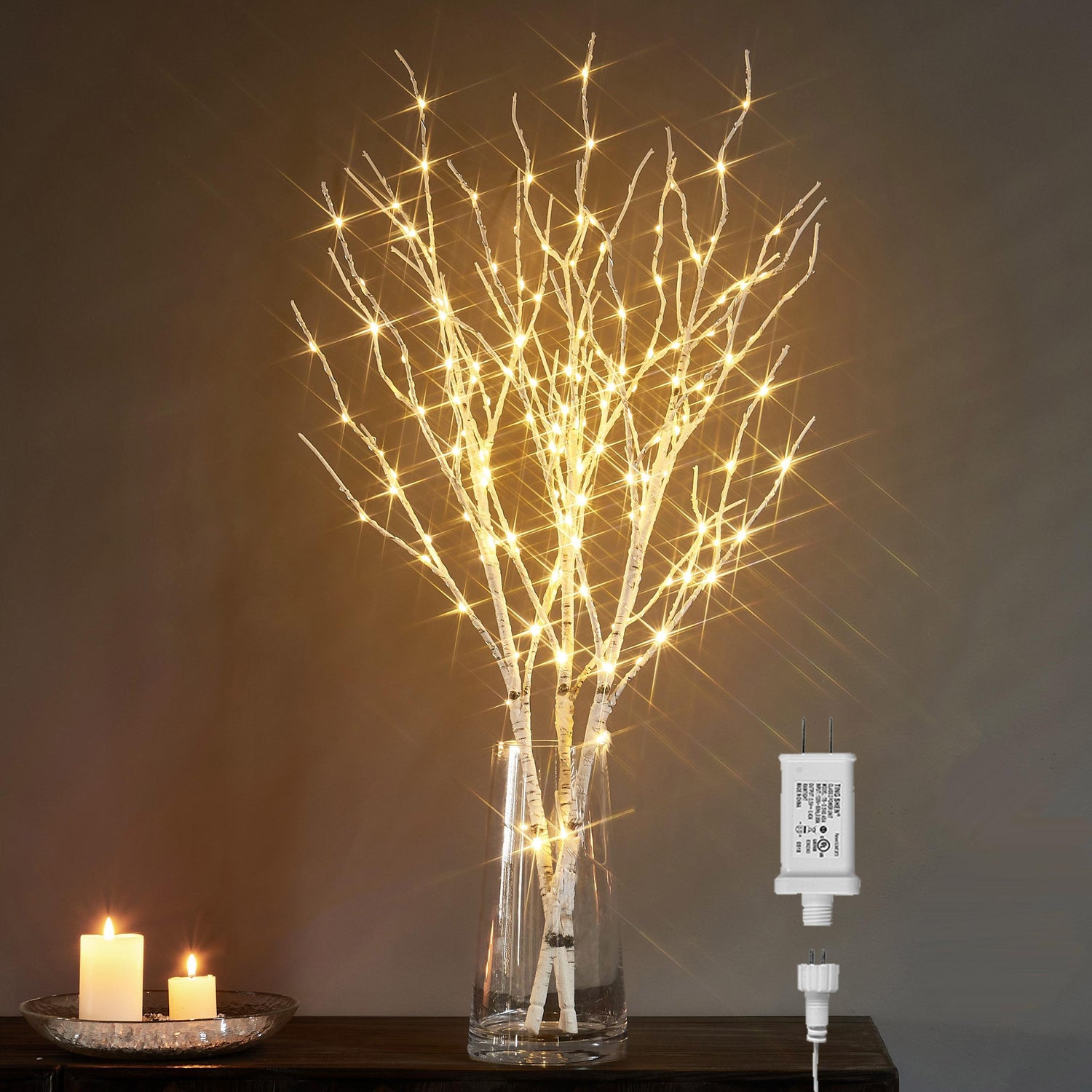 Nordic Birch Branch Decorative Lighting