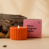 Indoor Durable Aromatherapy Soy Candles Bedroom